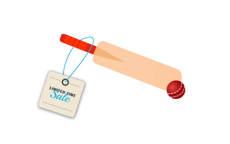 Illustration of cricket bat with sales tag
